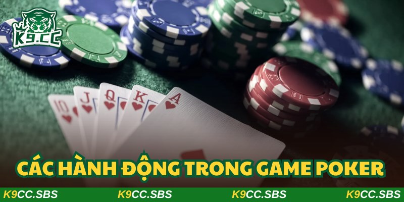 Suy nghĩ kỹ lưỡng trước khi đưa ra thao tác cho từng vòng cược