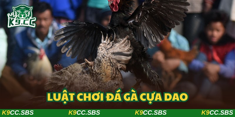 Hiểu rõ về luật chơi của loại hình để giải trí hiệu quả hơn