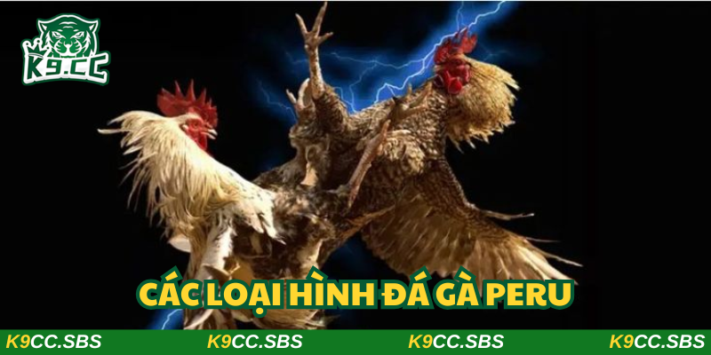 Lựa chọn bất kỳ thể loại thi đấu nào mà bạn thực sự yêu thích