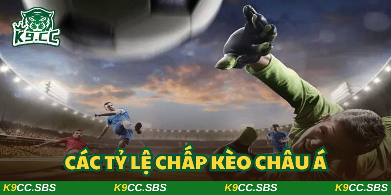 Đa dạng các thông số chấp mà thành viên có thể lựa chọn