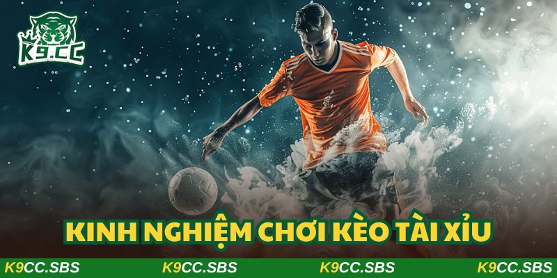 Kinh nghiệm chơi kèo tài xỉu mang về lợi nhuận lớn cho người tham gia